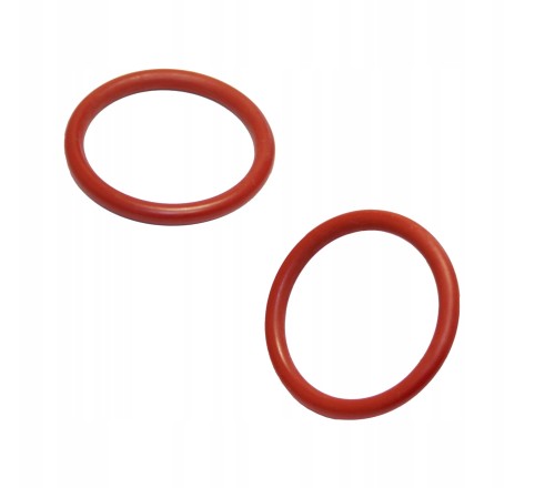 Uszczelka wargowa tłoka bloku zaparzającego Philips Saeco (O-ring). Oryginalna uszczelka NM01.044 do ekspresu ciśnieniowego.